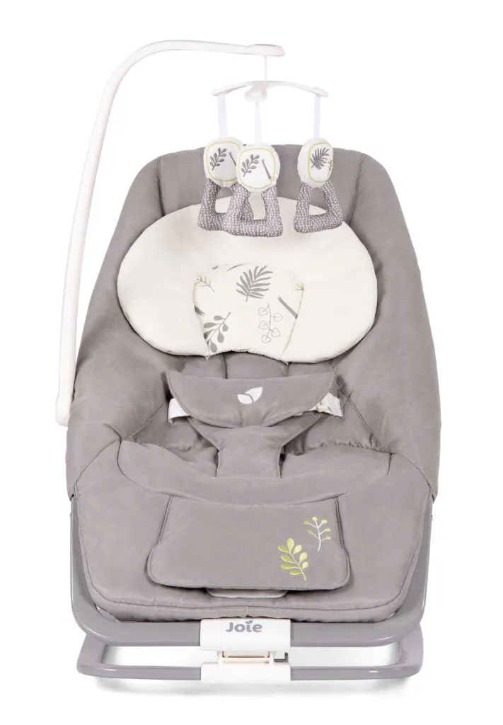 Joie Dreamer Rocker - Fern